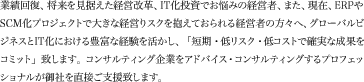 業績回復、将来を見据えた経営改革、IT化投資でお悩みの経営者、また、現在、ERPやSCM化プロジェクトで大きな経営リスクを抱えておられる経営者の方々へ、グローバルビジネスとIT化における豊富な経験を活かし、「短期・低リスク・低コストで確実な成果をコミット」致します。コンサルティング企業をアドバイス・コンサルティングするプロフェッショナルが御社を直接ご支援致します。